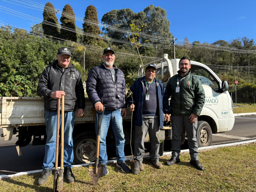 Praça do Loteamento Orlandi recebe plantio de mudas em ação de revitalização em Gramado